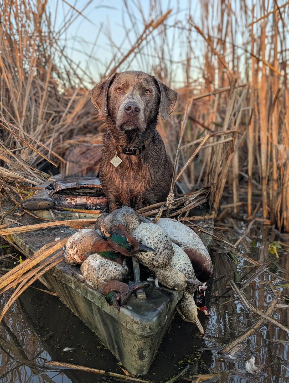 Hunter Spotlight: More Than the Birds By Caleb Hanson