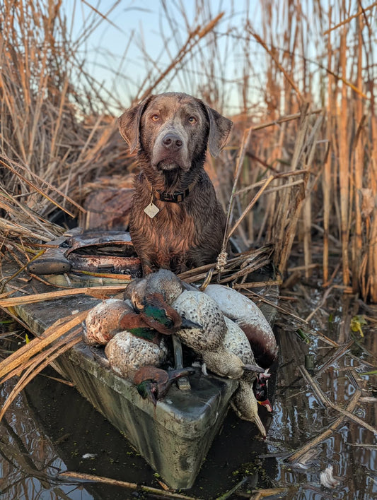 Hunter Spotlight: More Than the Birds By Caleb Hanson
